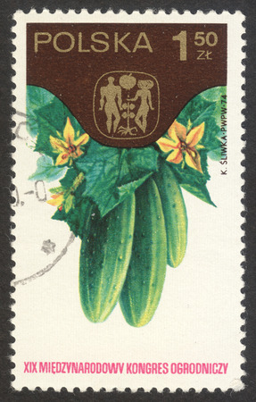 MOSCOW RUSSIA - CIRCA OCTOBER 2017: a post stamp printed in POLAND shows cucumbers, the series "The 19th International Hortcultural Congress,, Warsaw", circa 1974のeditorial素材
