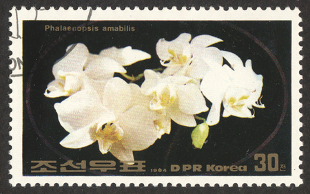 MOSCOW RUSSIA - CIRCA NOVEMBER 2017: a post stamp printed in the DPR KOREA shows Phalaenopsis amabilis flower, the series "The flowers", circa 1984のeditorial素材