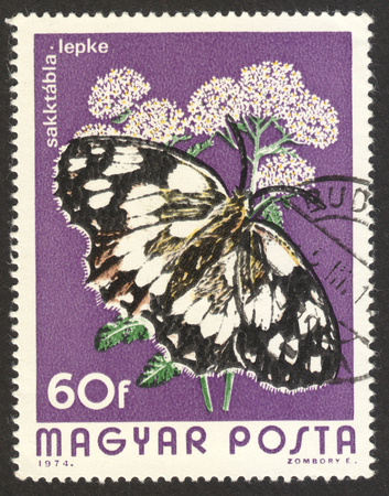 MOSCOW RUSSIA - CIRCA NOVEMBER 2017: a post stamp printed in HUNGARY shows Marbled White (Melanargia galathea) butterfly, the series "The butterflies", circa 1974のeditorial素材