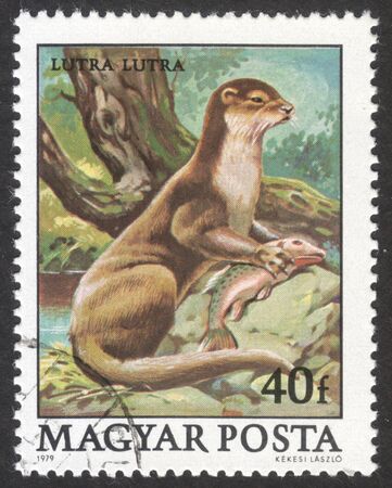 MOSCOW RUSSIA - CIRCA NOVEMBER 2017: a post stamp printed in HUNGARY shows Eurasian Otter (Lutra lutra), the series "The animals", circa 1979のeditorial素材