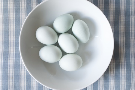 eggsの写真素材