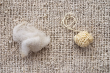 Raw wool  