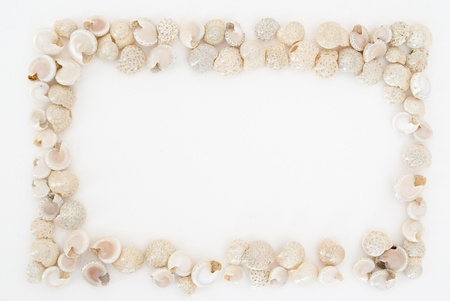Little shells frame on white backgroundの写真素材