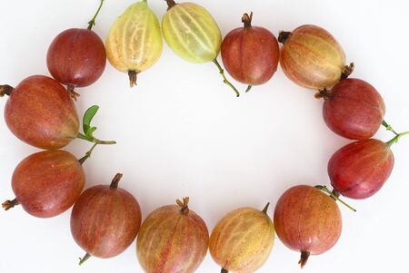 delicious gooseberries from the garden の写真素材