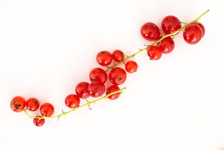 currants on white backgroundの写真素材