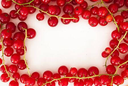 Currants frame on white backgroundの写真素材