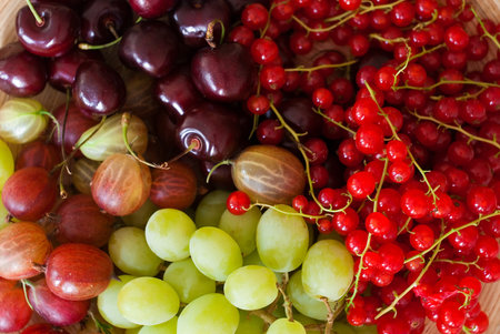 fresh fruits of summerの写真素材