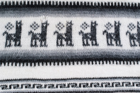 Alpaca Texture