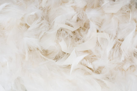 white feathers