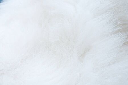 close up of white fur textured backgroundの写真素材