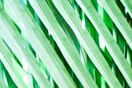 close up of green palm leaf - graphic illustration backgroundの写真素材