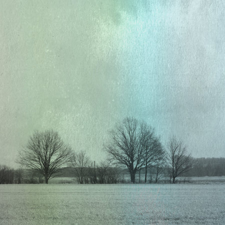 trees stands on horizon in empty white field. Watercolors Background - Vintage art creationの写真素材