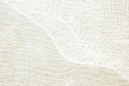 close up of net - abstract graphic design