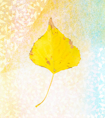 flower poetry - vintage leaf on paper backgroundの写真素材