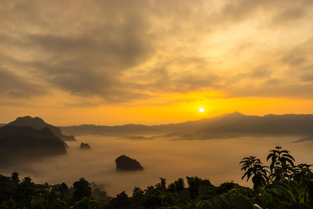 Rural view in the morning with sunrise and fog environmentの写真素材