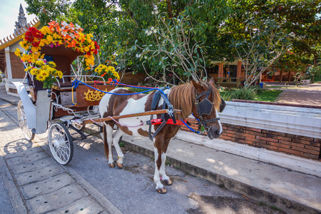 Horse carriage, traditional vehicle in Lampang, Thailand, mostly served tourists for city sightseeing.の写真素材