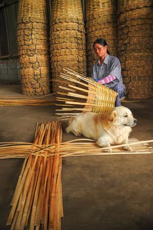 Kanchanaburi, Thailand - September 16, 2012: Senior woman weaving basket by hand with a dog lying down in rural in Kanchanaburi, Thailandのeditorial素材