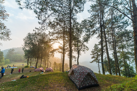 Chiangmai, Thailand - February 13, 2017: Tourists traveling to national park and staying overnight in camping tent in Chiangmai, Thailandのeditorial素材