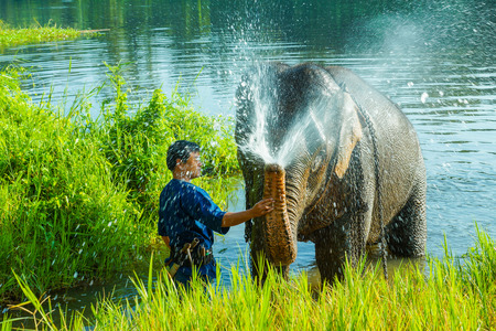 Lampang, Thailand - November 3, 2012: Mahout training elephant in elephant camp in national park in Lampang, Thailandのeditorial素材