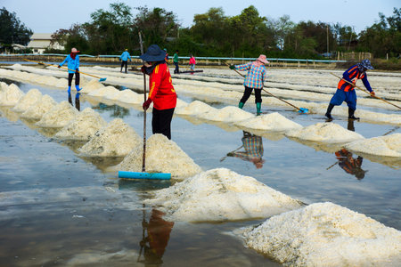 Phetchaburi, Thailand - April 29, 2012: Group of workers making heaps of salt in salt farm in Phetchaburi, Thailandのeditorial素材