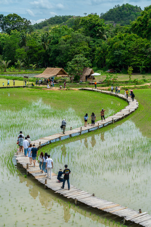 Nakhon Nayok, Thailand - July 15, 2018: Tourists people waling on wooden pathway over rice field where is new travel destination, in Nakhon Nayok, Thailandのeditorial素材