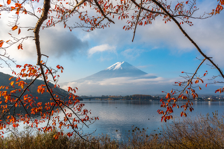 Beautiful Fuji san and Kawaguchiko lake with autumn leaves in the morning in autumn seasonの写真素材