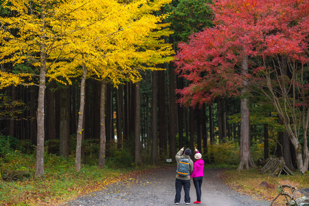 Shizuoka, Japan - November 9, 2018: Pair of tourists having sightseeing in national park in Shizuoka, Japanのeditorial素材