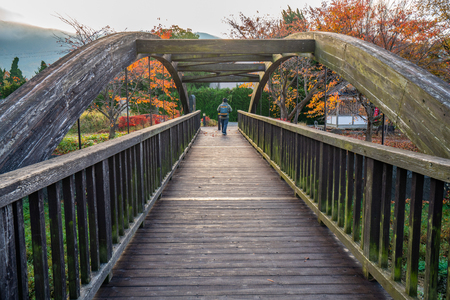 Yamanashi, Japan - November 8, 2018: Photographer man walking on wooden bridge in public park in Yamanashi, Japanのeditorial素材