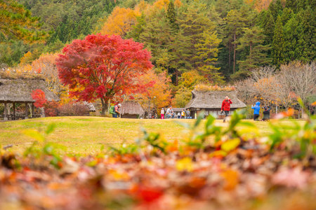 Yamanashi, Japan - November 9, 2018: Tourists sightseeing in small beautiful public garden beside country road in rural of Yamanashi, Japanのeditorial素材