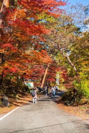 Yamanashi, Japan - Tourists walking in beautiful autumn to have sightseeing in national park in Yamanashi, Japanのeditorial素材