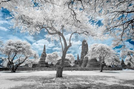 Ruined ancient Buddhist temple and pagoda in Ayutthaya historical park, Thailand in infrared photographyの写真素材