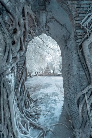 Phra Ngam, ancient ruined Buddhist temple in Ayutthaya, Thailand in infrared photographyの写真素材