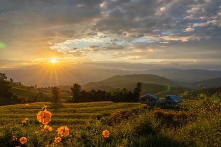 Beautiful rice terraces during sunset in Pa Bong Piang, the rural village in Chiangmai, Thailandの写真素材