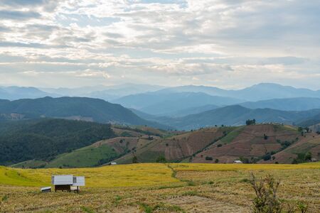 Beautiful rice terraces in Pa Bong Piang, the rural village in Chiangmai, Thailandの写真素材