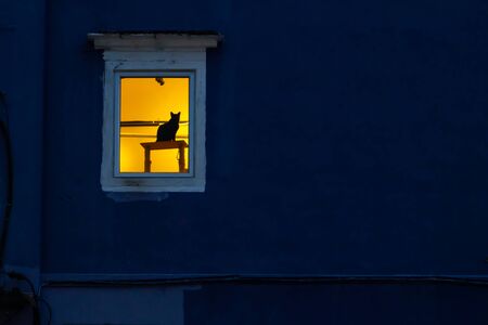 Silhouette cat on wooden table at window in lighten room with dark blue wallの写真素材