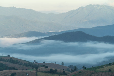 Beautiful rice terraces in the morning with fog environment in Pa Bong Piang, the rural village in...