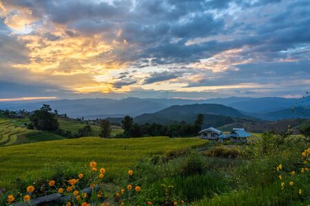 Beautiful rice terraces during sunset in Pa Bong Piang, the rural village in Chiangmai, Thailandの写真素材
