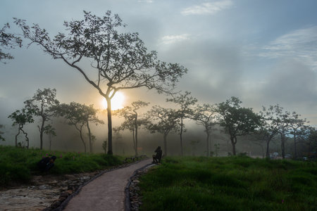 Morning sunrise foggy sky with unidentified silhouttte visitor in Sai Thong National Parkの写真素材