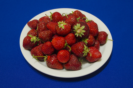 Strawberries on a white plate on a blue backgroundの写真素材