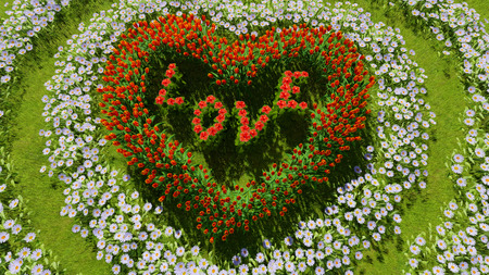 A variety of tulips and daisies in the shape of a heart on a green field, as a symbol of Valentine's Day and love.のeditorial素材