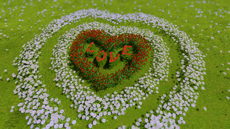 A variety of tulips and daisies in the shape of a heart on a green field, as a symbol of Valentine's Day and love.のeditorial素材