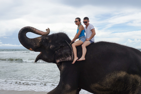 Portrait of a happy young couple on an elephant with trunk up on the background of a tropical ocean beach. Tropical coast of Sri Lankaの写真素材