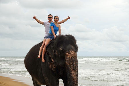 Portrait of a happy young couple on an elephant on the background of a tropical ocean beach. Tropical coast of Sri Lankaの写真素材