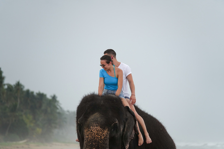Young couple is riding on an elephant on the background of a tropical ocean beach. Tropical coast of Sri Lankaの写真素材