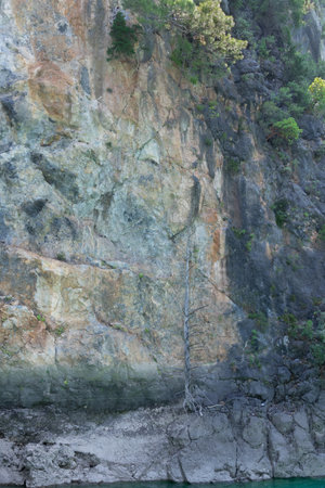 Dry and green trees growing in the mountain rock. background. Green canyon, Manavgat, Antalya, Turkeyの写真素材