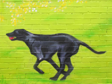 Black Dog Graffitiのeditorial素材