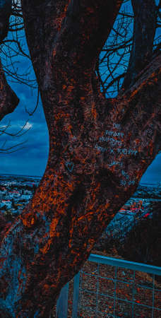 Processed with VSCO with c8 presetの写真素材