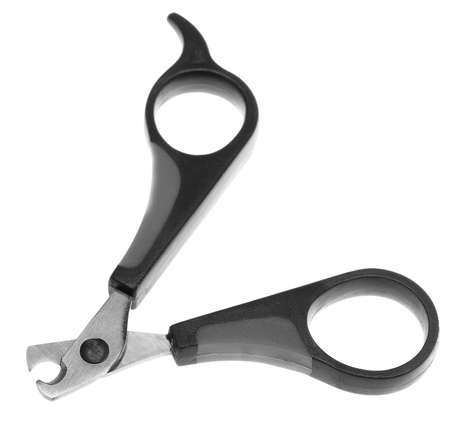Pet's pedicure tool - Claw scissors isolated on black - selective focus on metal working surfaceの写真素材