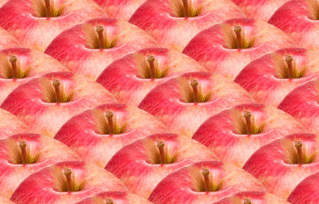 background of ripened red apple tops in rawsの写真素材