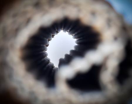 tunnel vision concept,end of the tunnel focusの写真素材